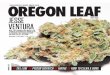 Oregon Leaf — June 2015
