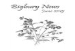 Bigbury News June 2015
