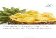 Pineapple processing line