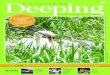 Discovering Deeping issue 002, August 2015