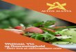 Active alanya (gourmet og wellness)