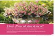 Flowering Combinators