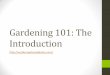 Gardening 101 the introduction