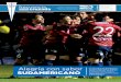 Sudamericana 2015 - vs Danubio (vuelta)