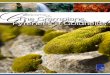 Grampians goldfields & pyrenees Area Information Guide