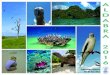 Aldabra expedition program - spring 2016 - SY Sea Bird (Silhouette Cruises Seychelles)
