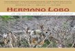 REVISTA FRANCISCANA HERMANO LOBO 79