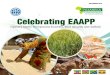 Asareca: Celebrating EAAPP