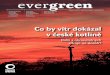 Magazín Hnutí DUHA: Evergreen 3/2015