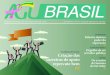 AGU Brasil Virtual- N 34