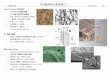 木材纖維與化學概論 - II