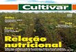 Grandes Culturas - Cultivar 163
