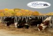 Michigan Dairy Cattle News 2015 Fall
