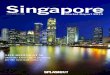 Singapore Market Report 2015
