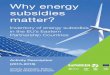 Why energy subsidies matter?