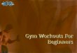 Gym Workouts For Beginners