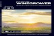 NZ Winegrower Dec/Jan 2015