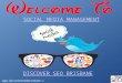 Best Social Media Management By Discover SEO Brisbane