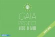 Gaia Project - AIESEC in Bauru