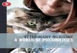 Veterinary Medicine: A World of Possibilities