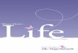 Terri Schiavo Life & Hope Network 2012 Brochure