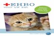 EHBO voor uw kat
