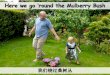 Here we go Round the Mulberry Bush - 我们绕过桑树丛