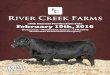 River Creek Farms 26th Annual Bull Sale
