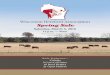 Wisconsin Hereford Association Spring Sale