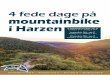 4 fede dage på mountainbike i Harzen - Hostel Braunlage