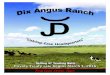 Dix Angus Ranch 2016 Private Treaty Bull Sale