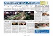 Philippine News Issue 2-5-16