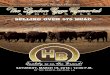 Hays Brothers Angus Ranch 15th Annual Production Sale