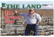 THE LAND ~ March 4, 2016 ~ Northern Edition