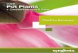 FloriPro Services Pot Plants 2016 (UK)
