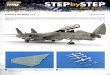 Step by step US NAVY F14 English