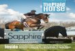 The Plaid Horse - May/June 2016 - The Young Horse Issue
