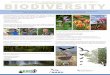 NABU International - poster biodiversity second draft
