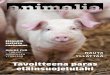 Animalia-lehti 1-2016