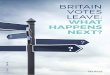 Britain Votes Leave: what happens next?