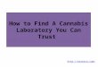 How to Find A Cannabis Laboratory You Can Trust