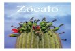 Zocalo Magazine - July & August 2016