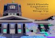 2015 Florida Legislative Session Wrap-Up
