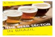 BEER SECTOR IN BRAZIL