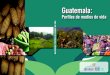 Guatemala: Perfiles de medios de vida Guatemala