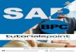 Download SAP BPC Tutorial