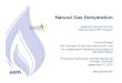 Natural Gas Dehydration (PDF)