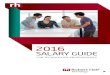Robert Half Technology Salary Guide 2016