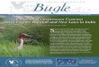 Changing conservation climates: Sarus Cranes, Rainfall, and New 