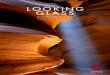 “Looking Glass” Spring 2012